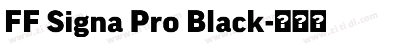 FF Signa Pro Black字体转换